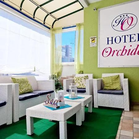Orchidea